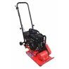 Plateau vibrant 5.5hp Moteur Briggs & Stratton