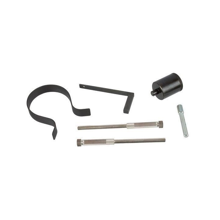 Kit calage pour distribution pour Citroen Peugeot 2.7 3.0 HDi