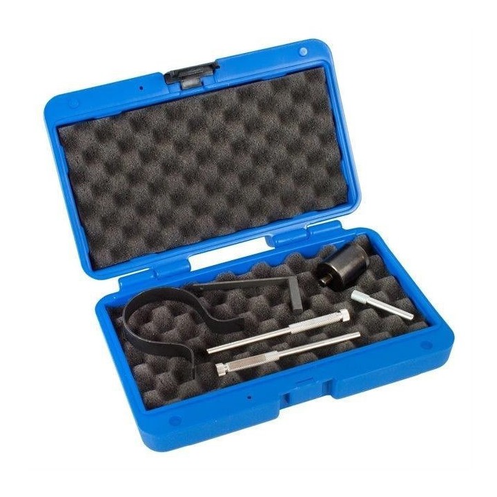 Kit calage pour distribution pour Citroen Peugeot 2.7 3.0 HDi