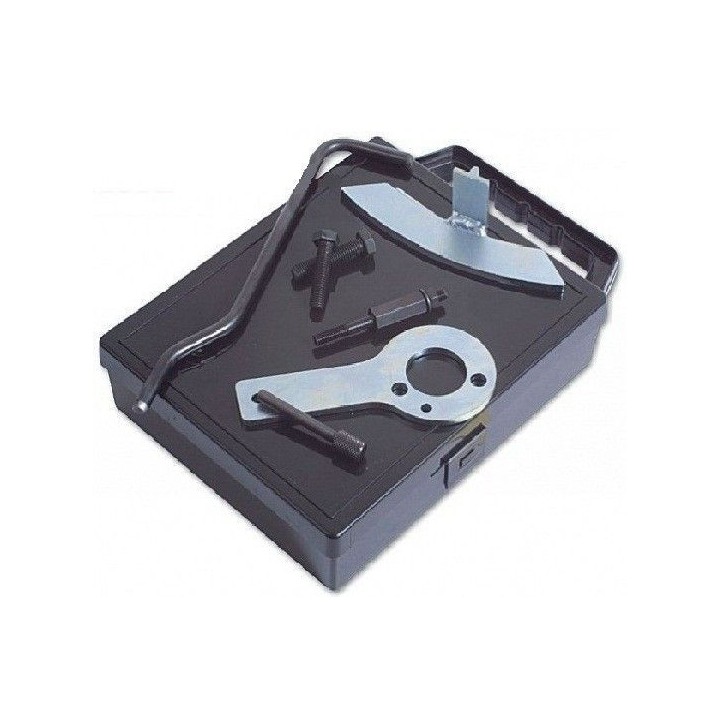 Outils calage distribution Fiat Peugeot Citroën Alfa Lancia