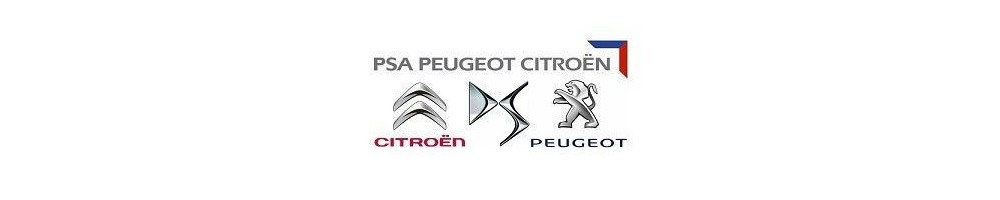 Peugeot / Citroen
