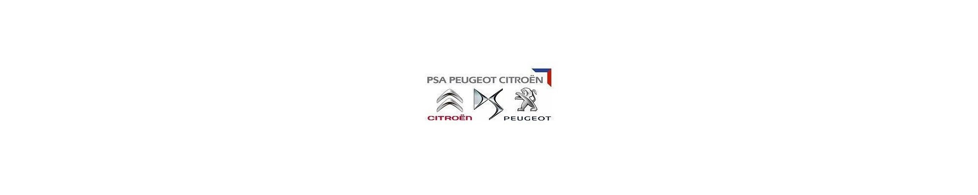 Peugeot / Citroen