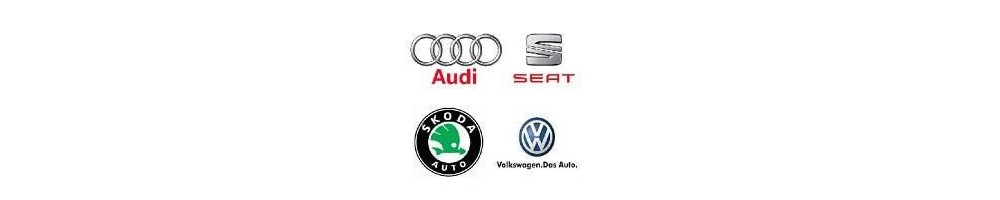 VAG (VW, Audi, Seat, Skoda)